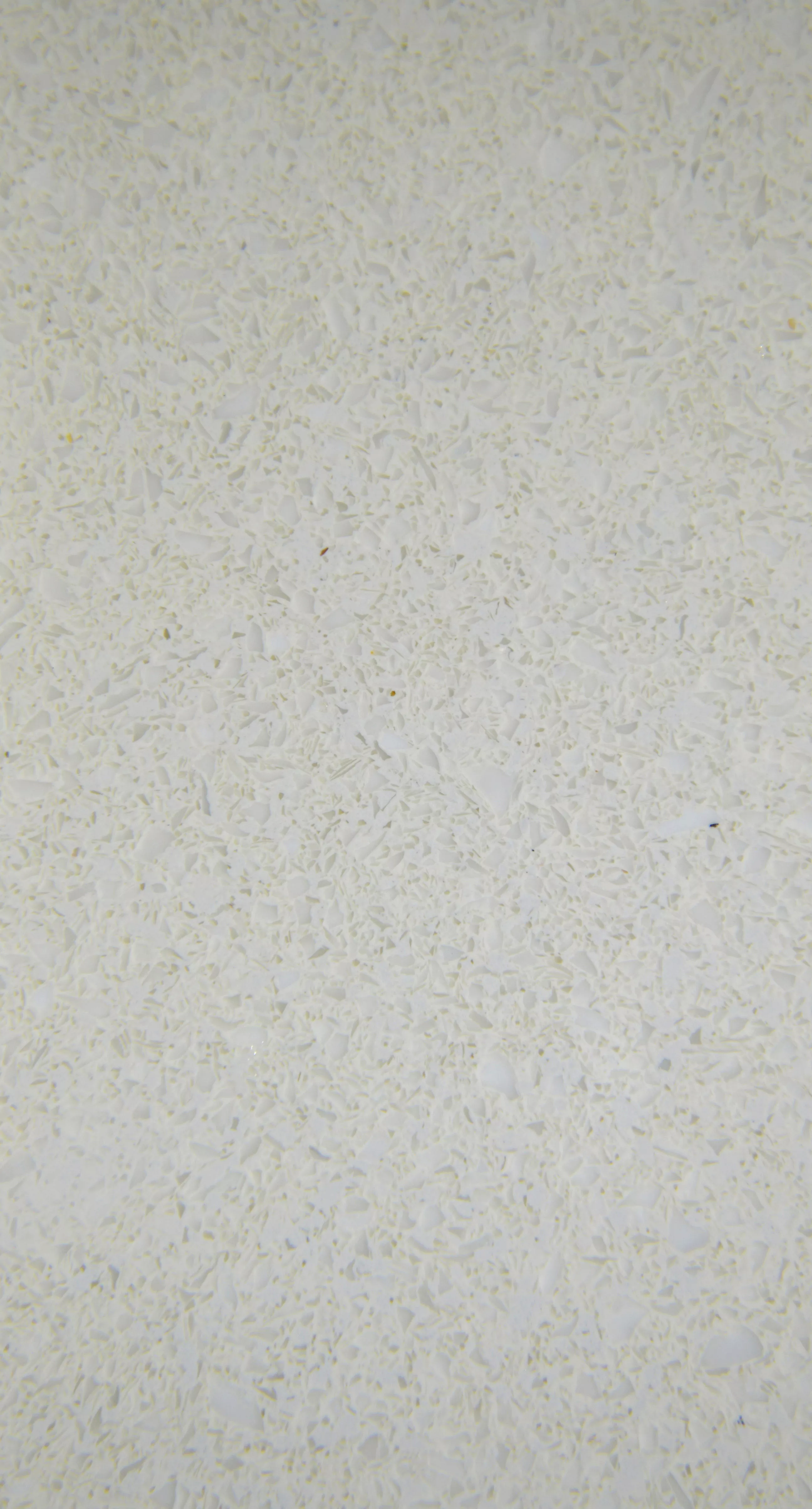纯白-MD-1-18101230.jpg