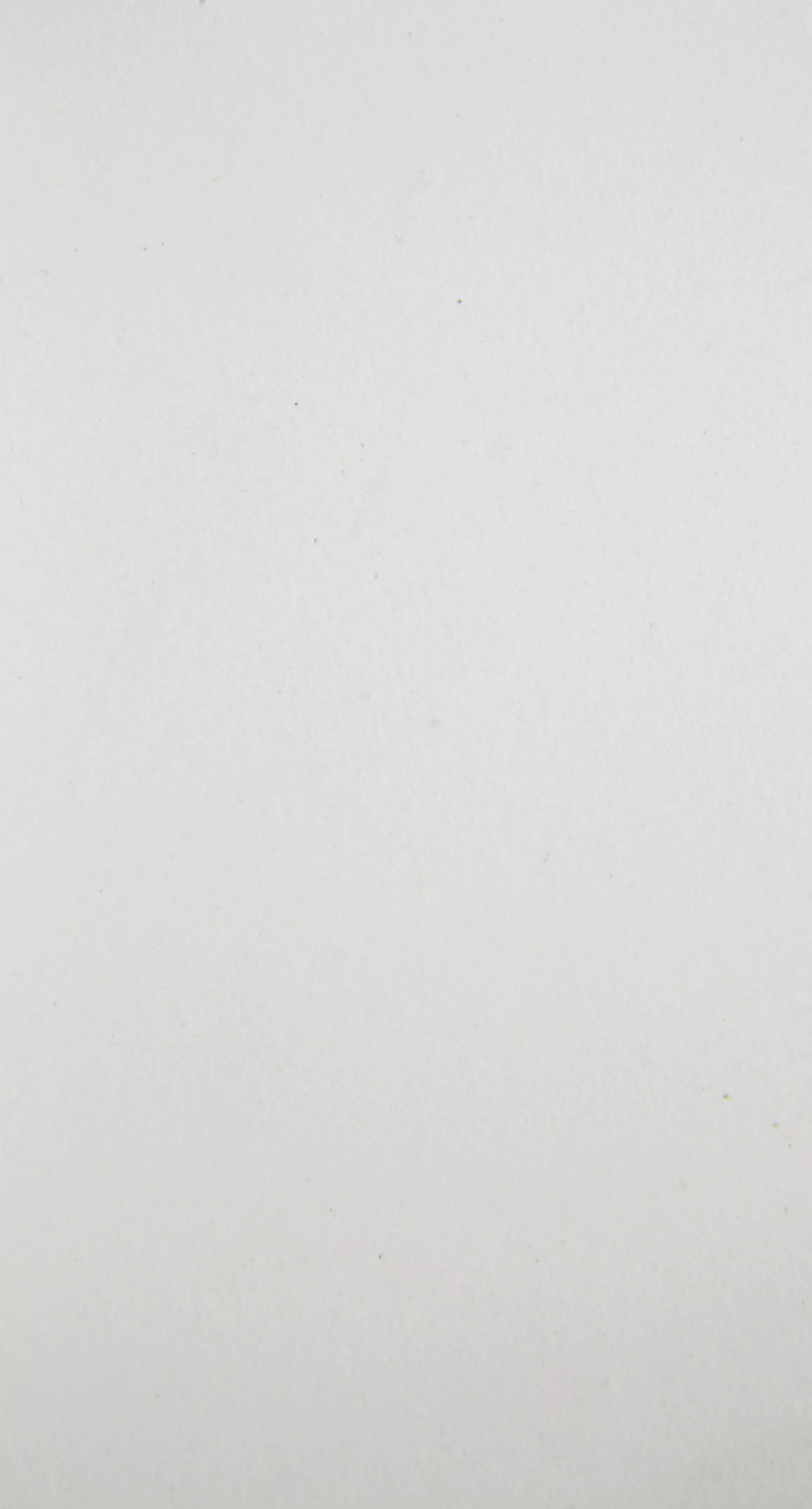 白-BA-2-18122505.jpg