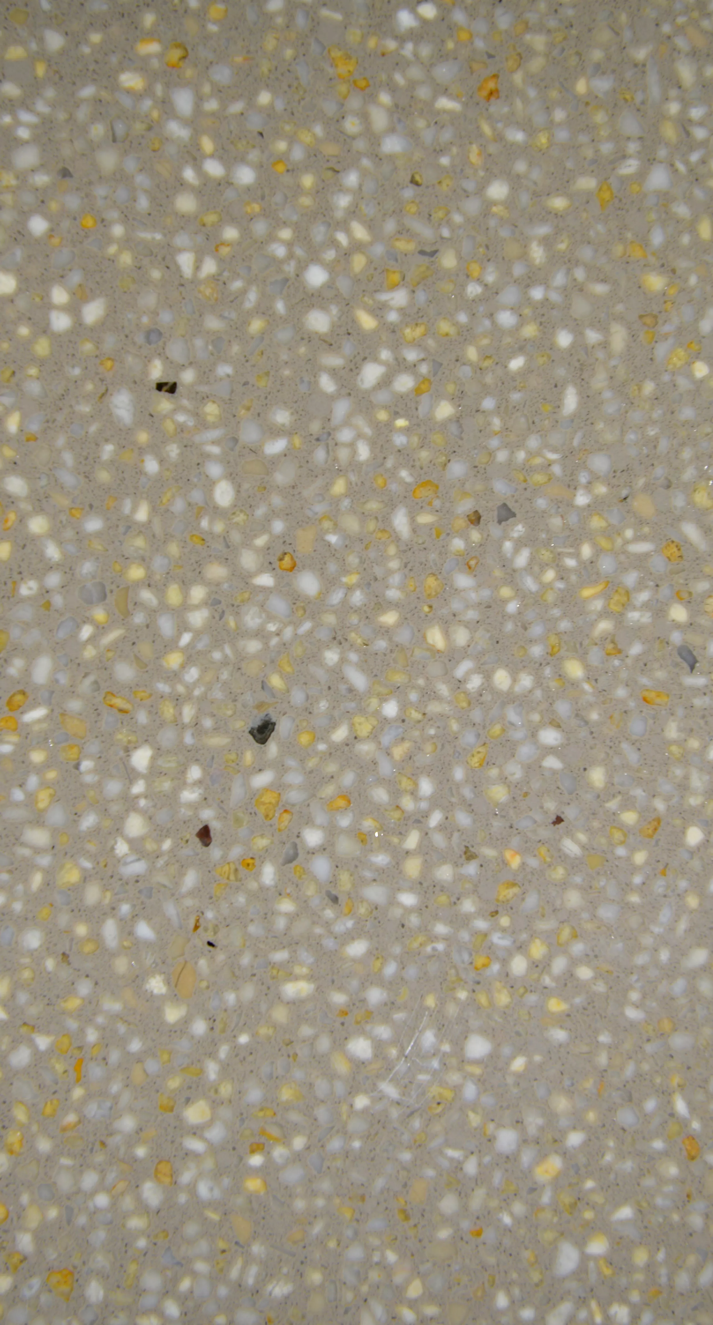 浅咖啡-MD-1-18101235.jpg