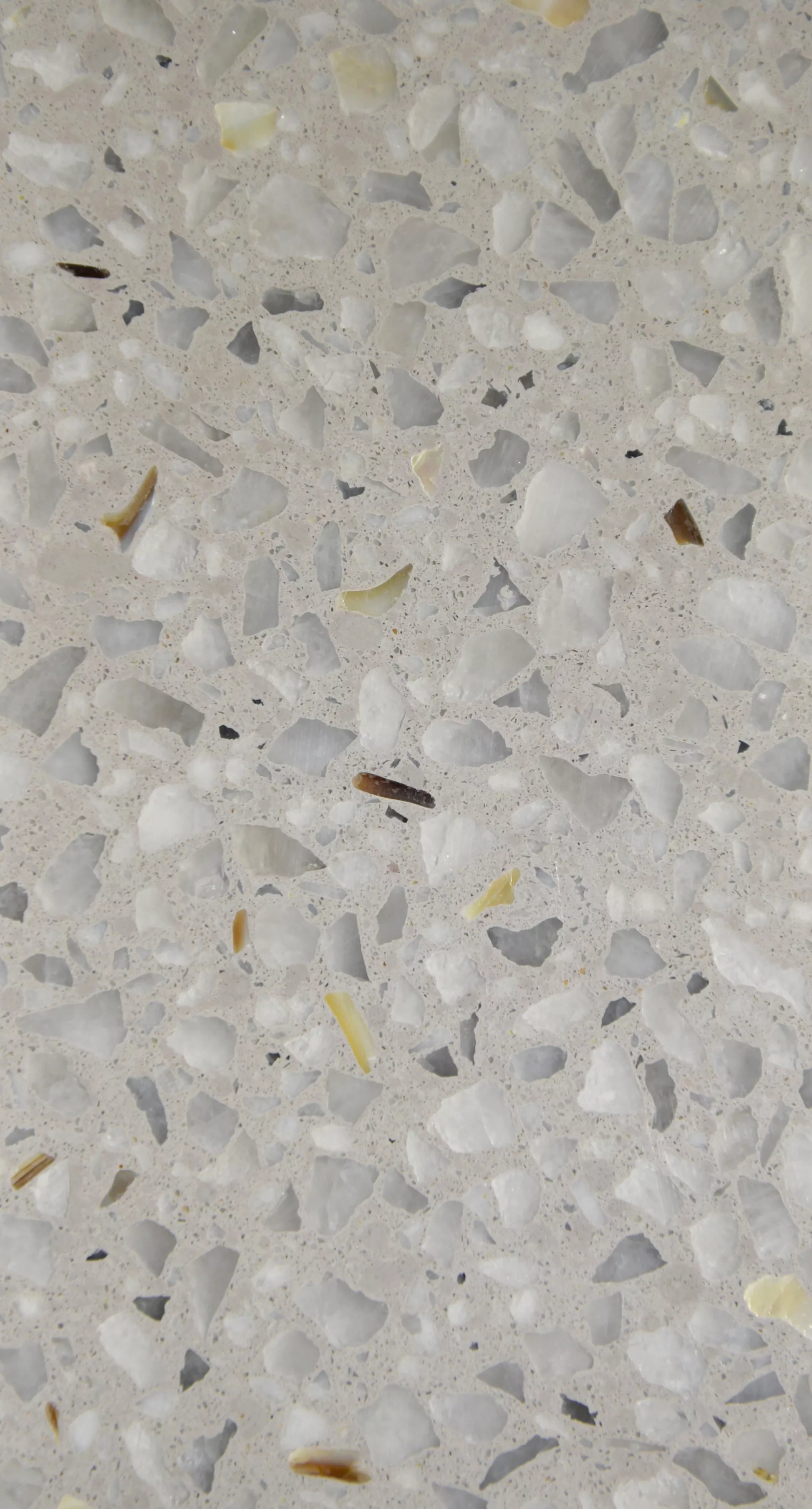 暖灰-BS-1-18112209.jpg