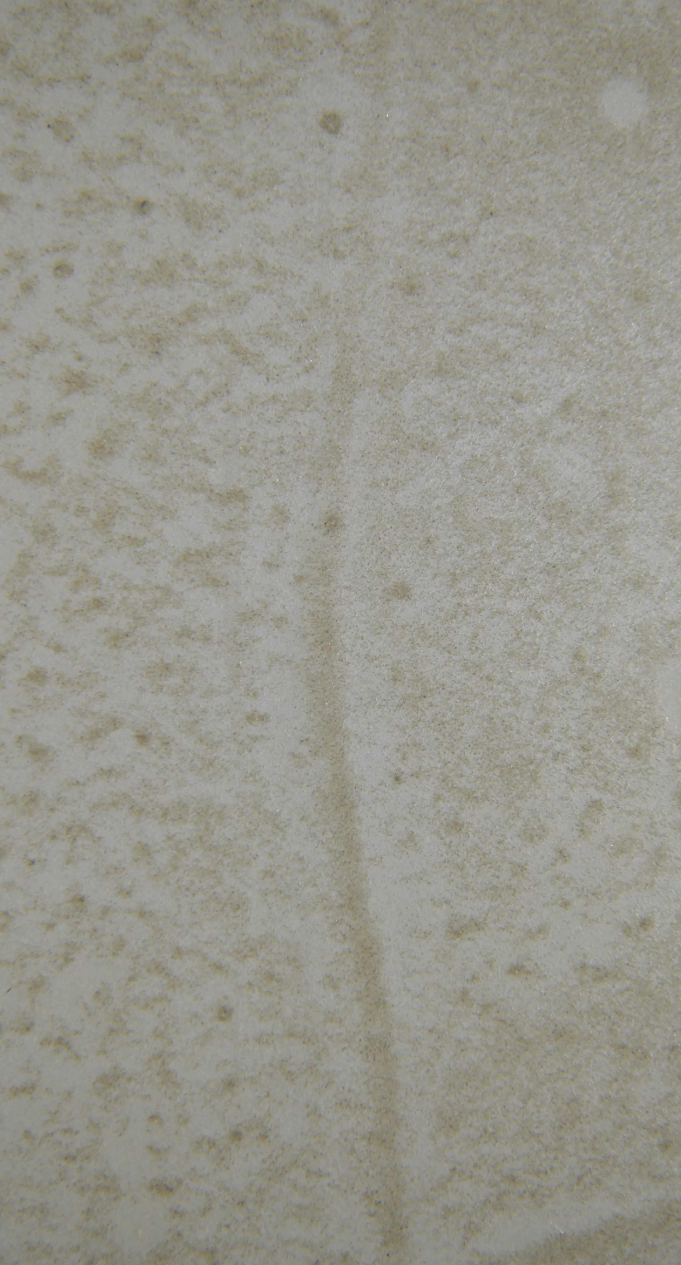 米黄-LF-1-18122710.jpg