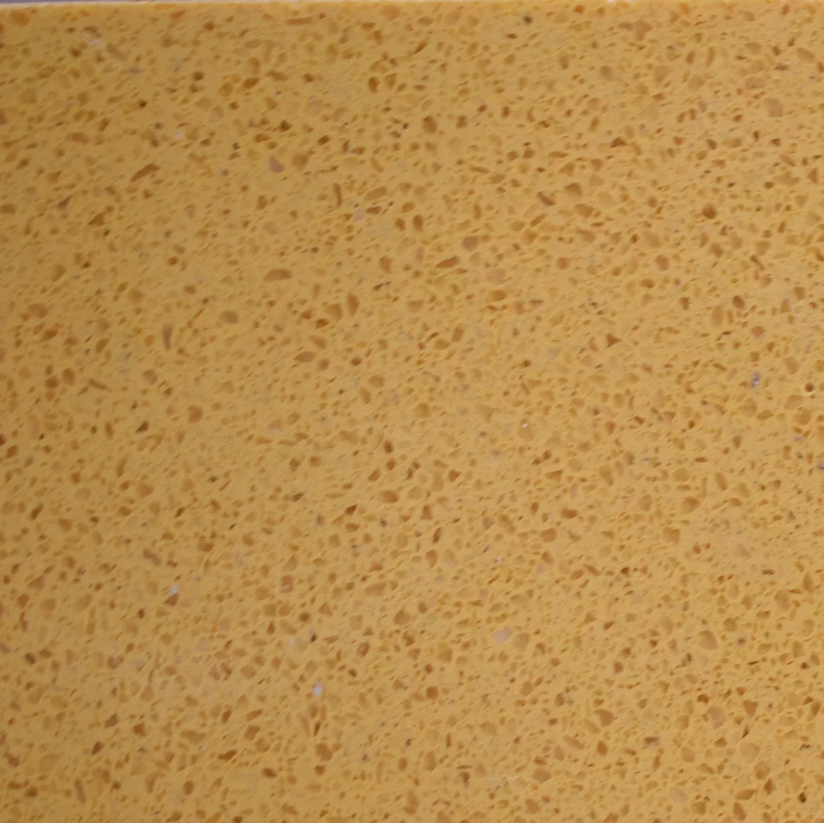 橙黄-SL-DZ18-61028.jpg