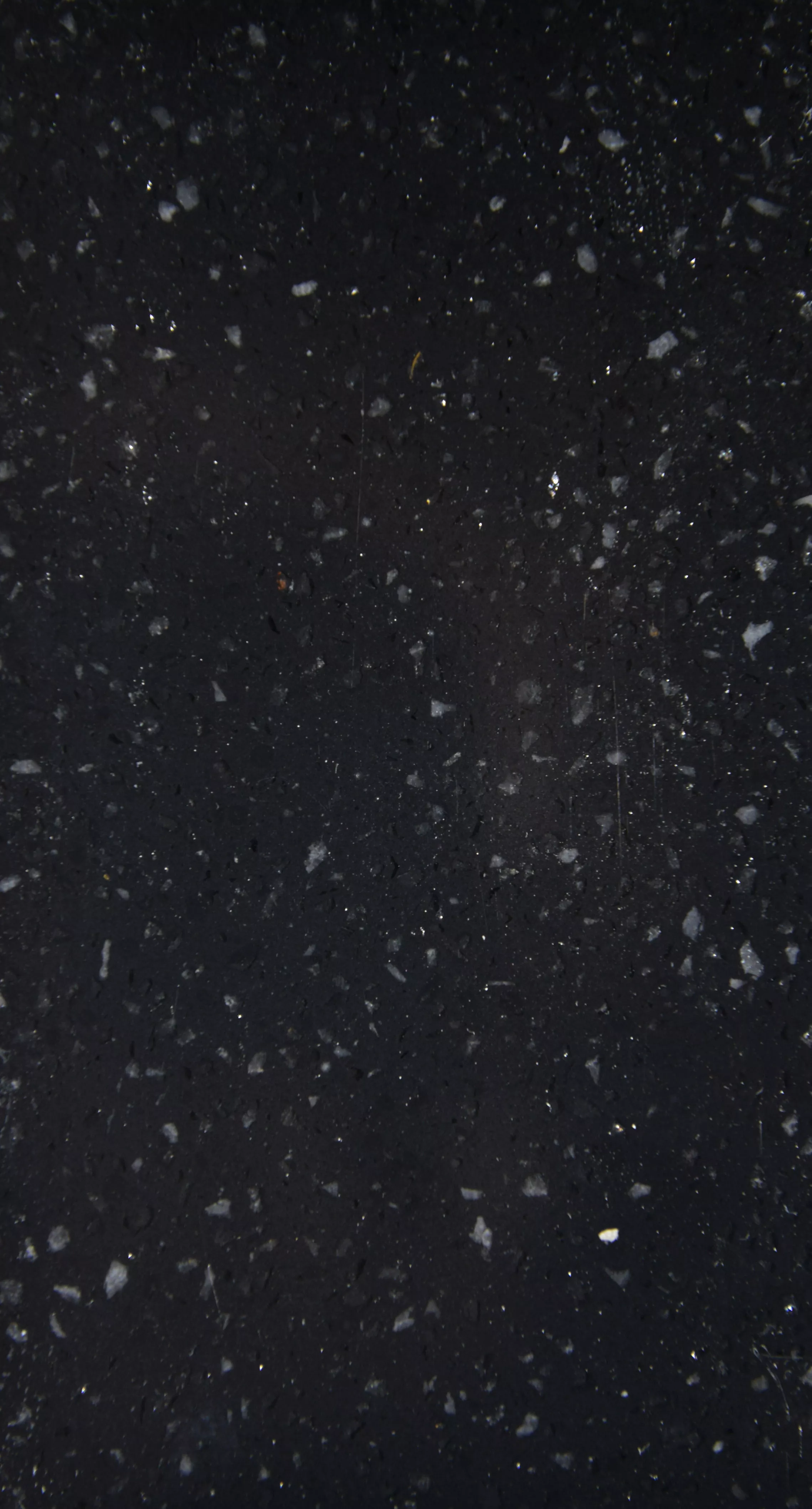 纯黑-MD-1-18101236.jpg